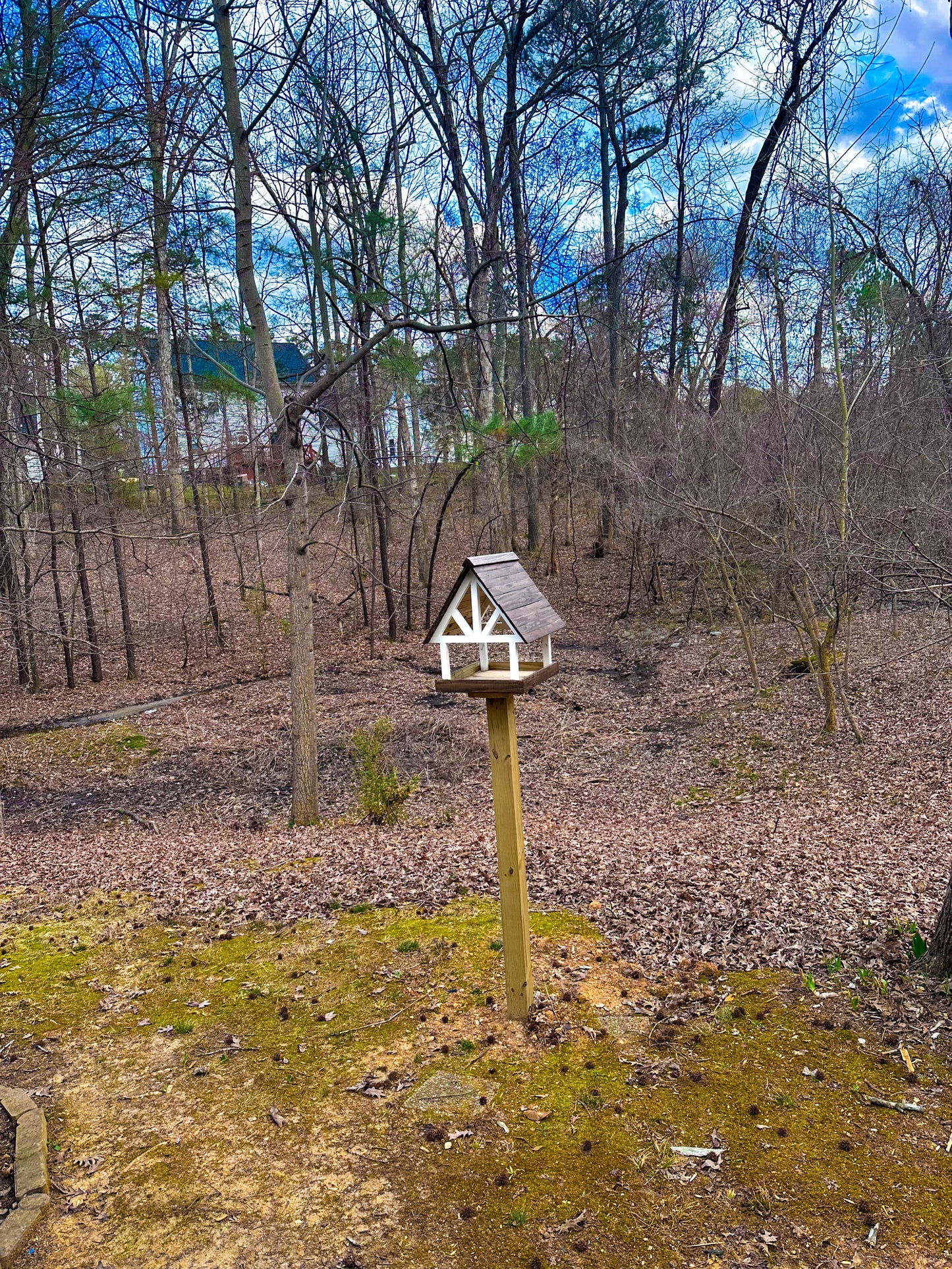 Alpine Deluxe Fly Thru Bird Feeder