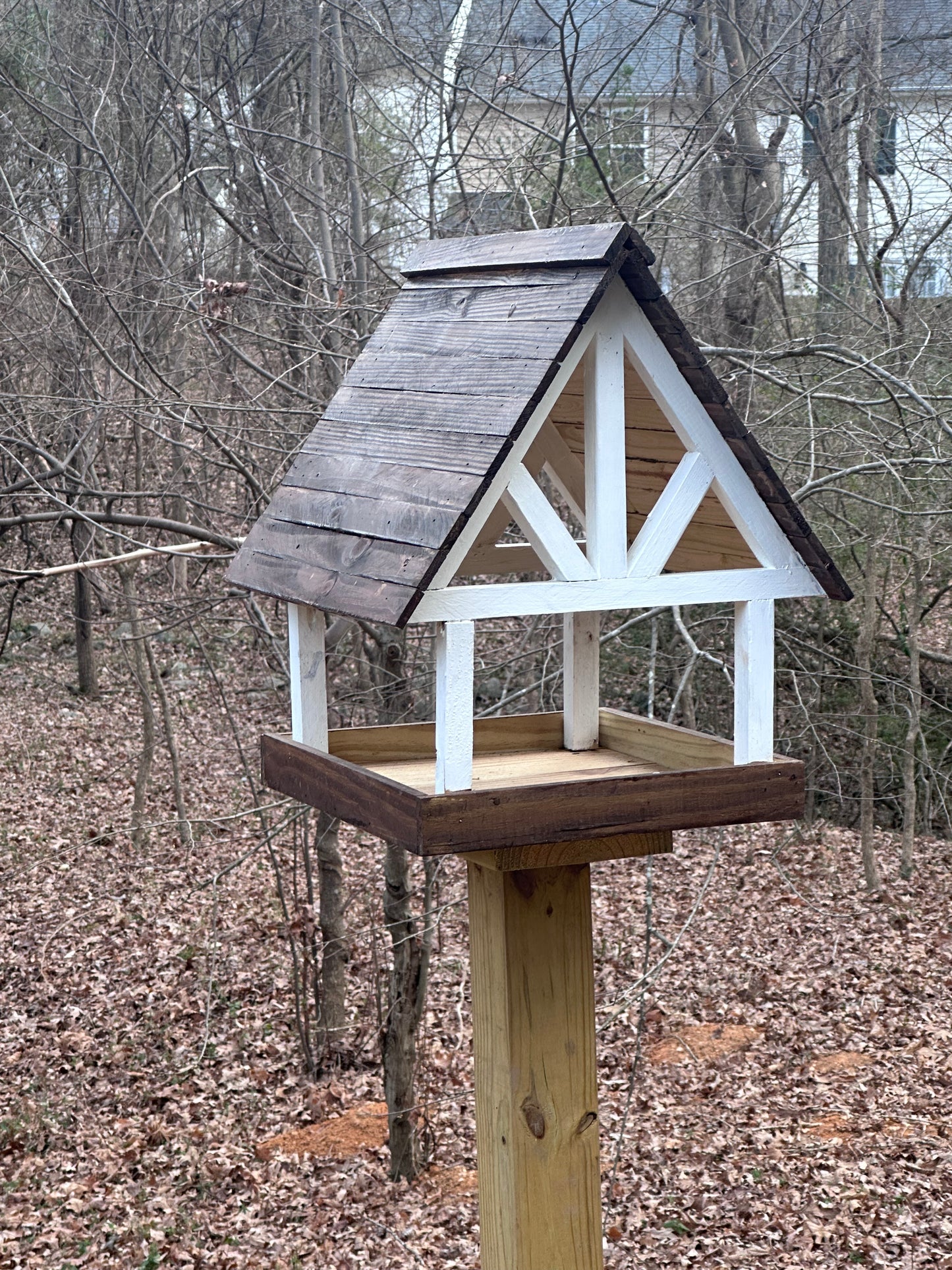 Alpine Deluxe Fly Thru Bird Feeder