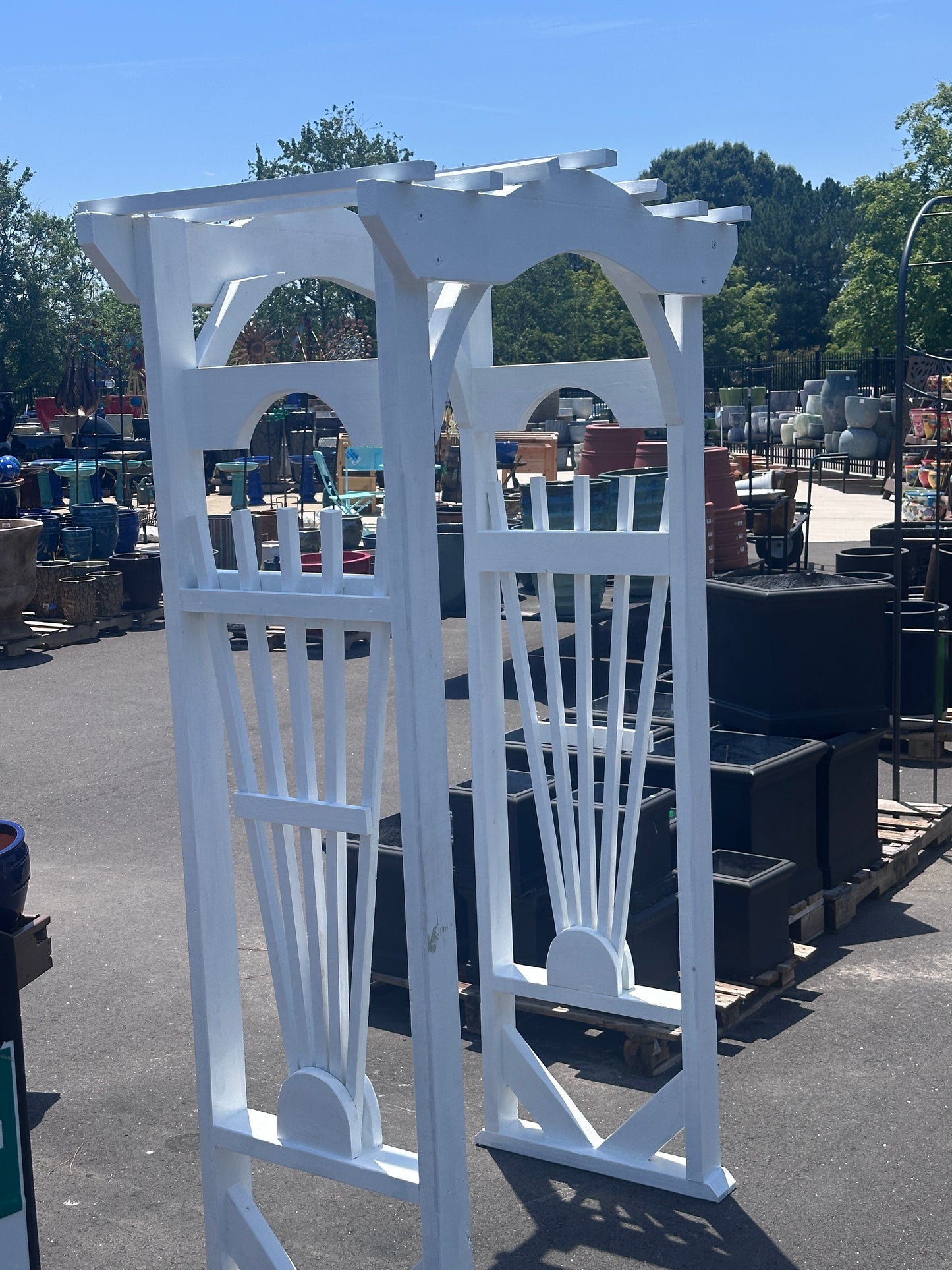 Sunburst Arbor