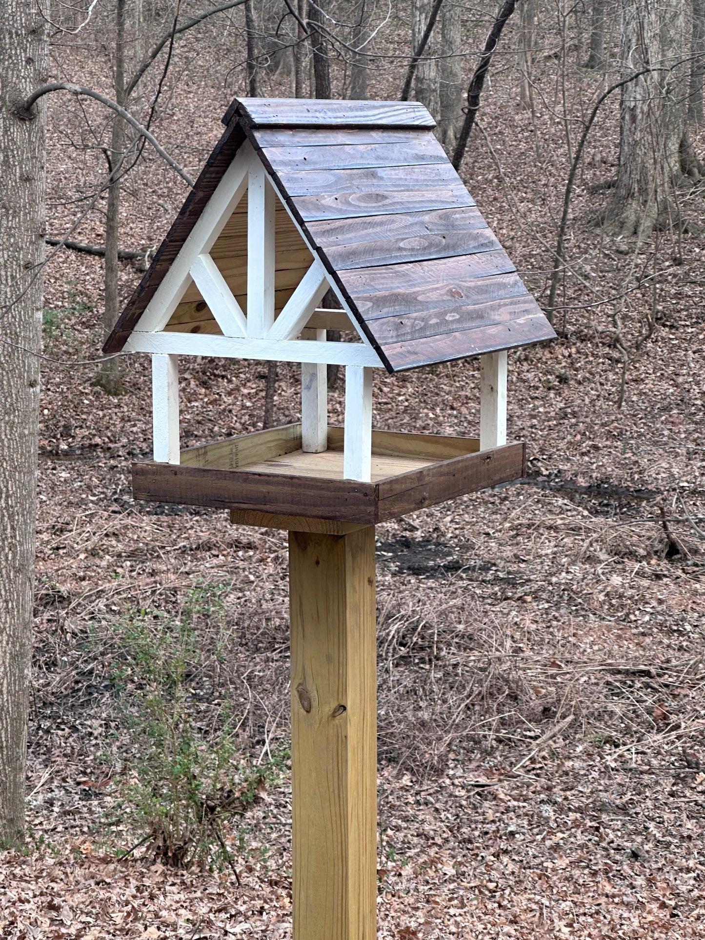 Alpine Deluxe Fly Thru Bird Feeder