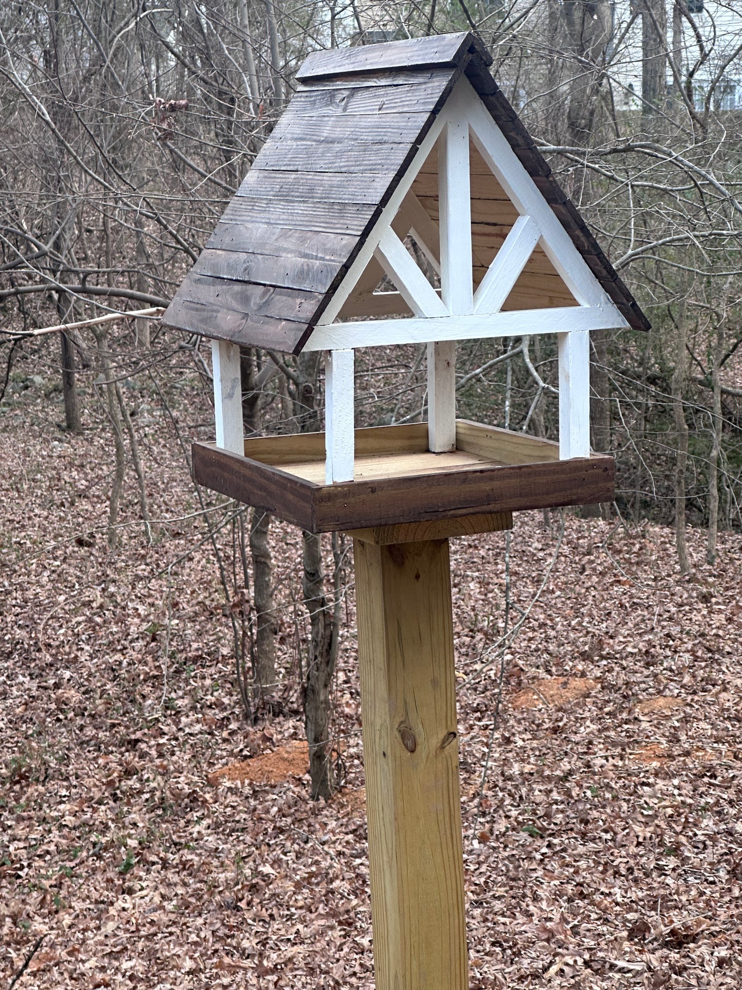 Alpine Deluxe Fly Thru Bird Feeder