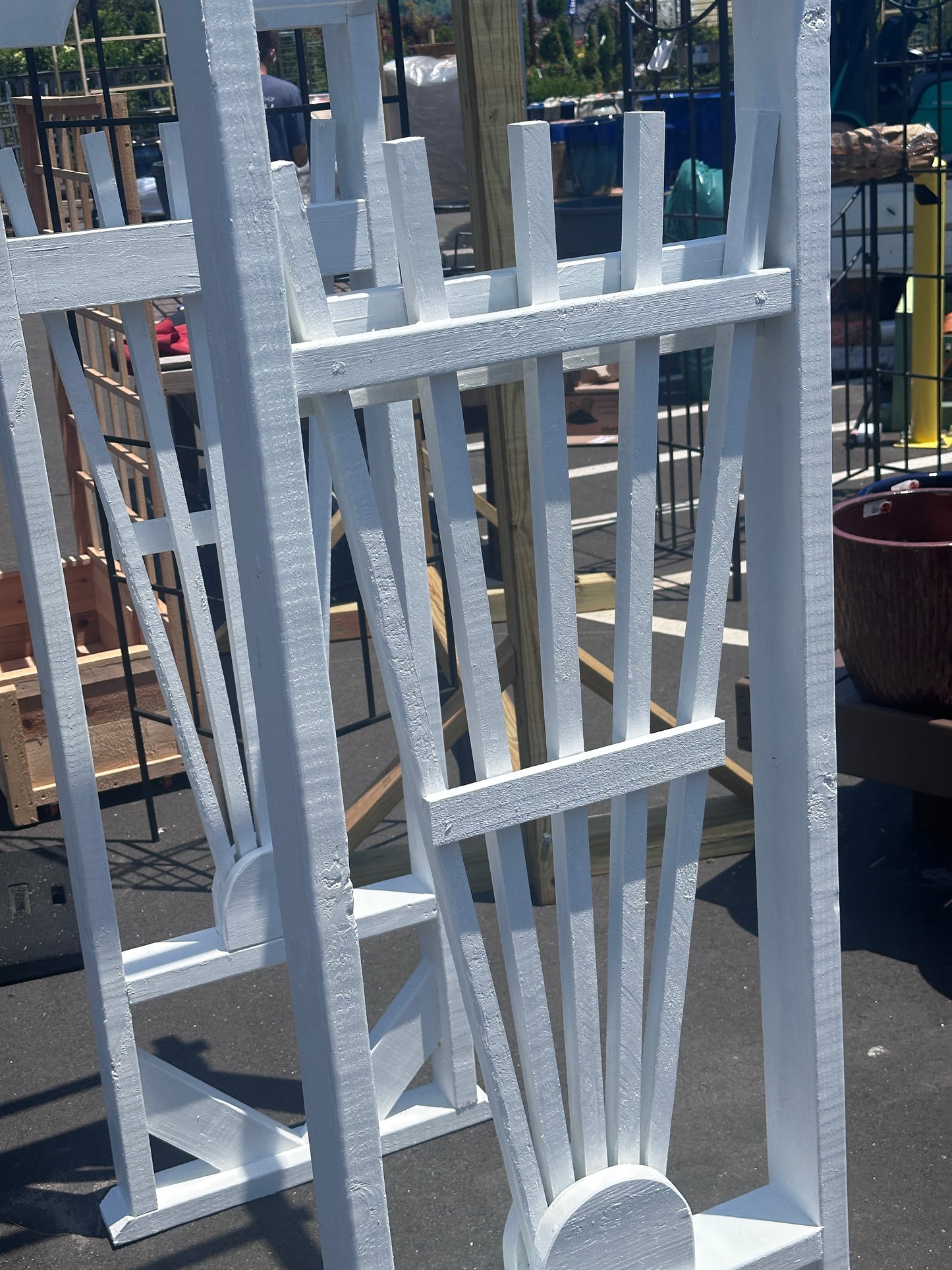 Sunburst Arbor