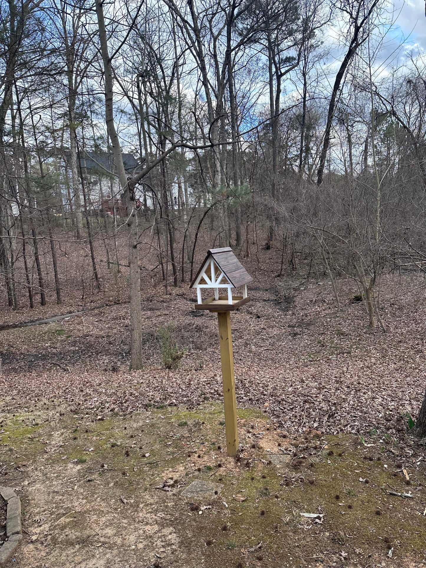 Alpine Deluxe Fly Thru Bird Feeder