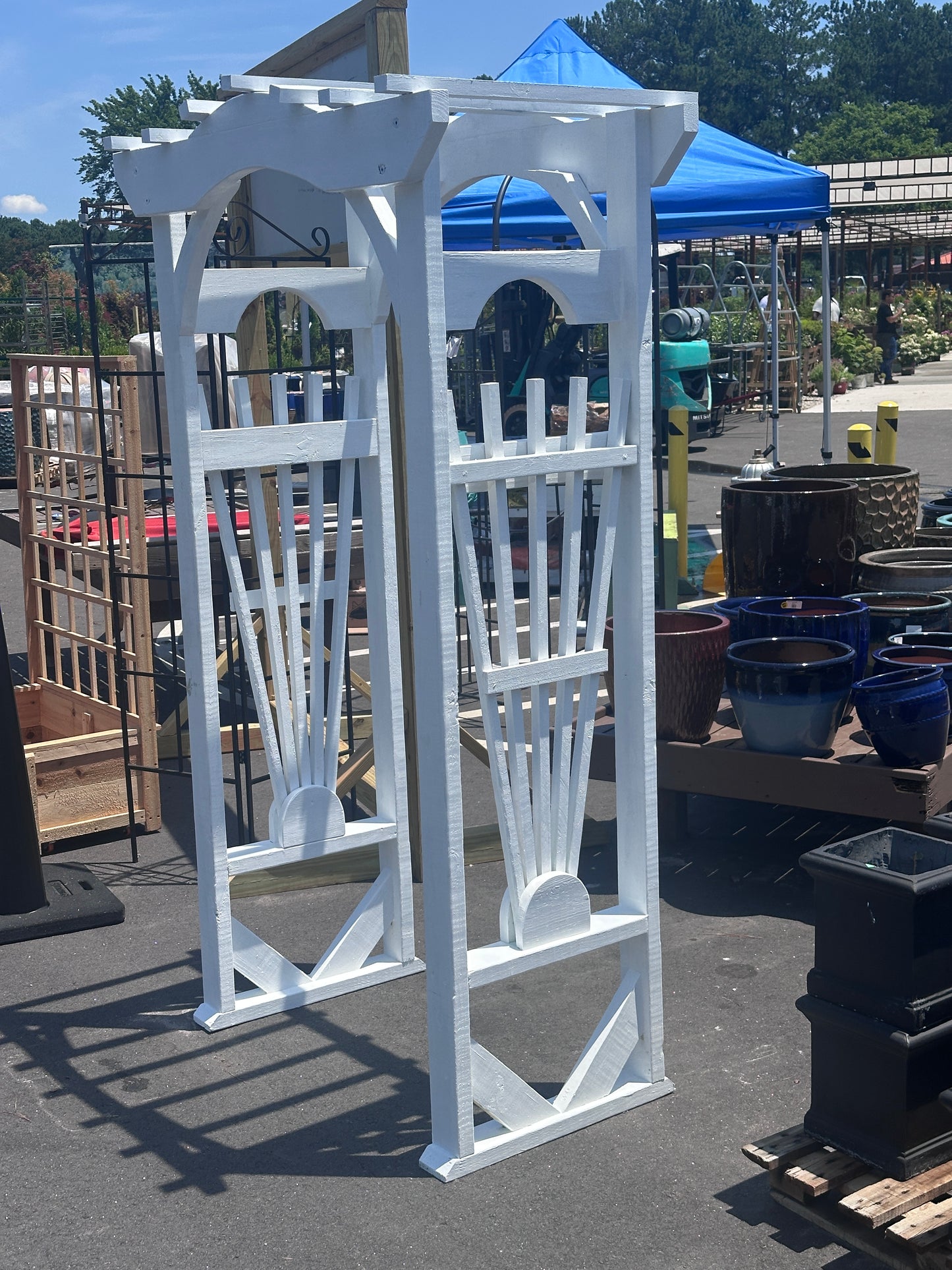 Sunburst Arbor