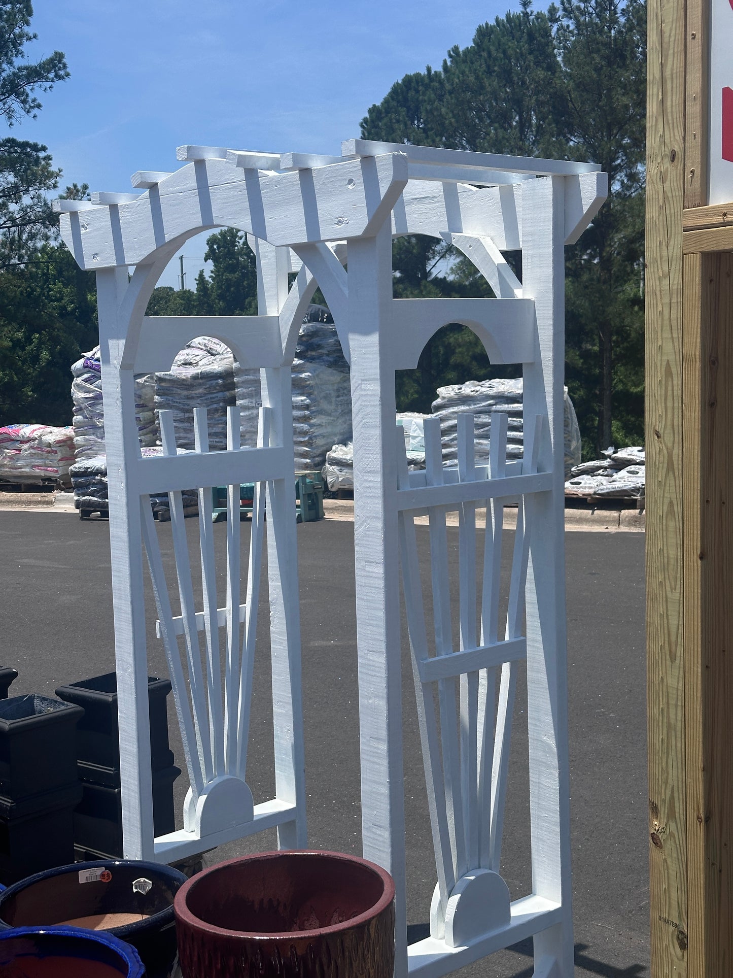 Sunburst Arbor