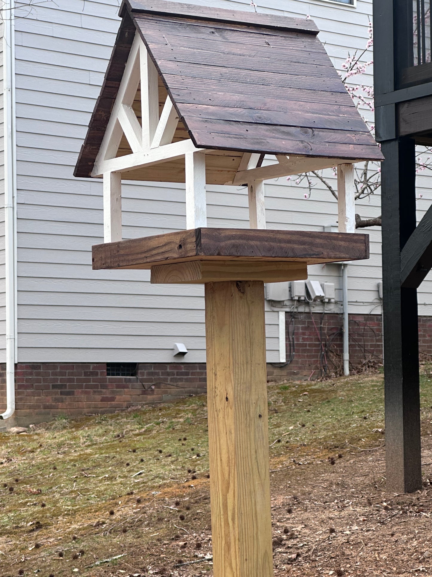 Alpine Deluxe Fly Thru Bird Feeder