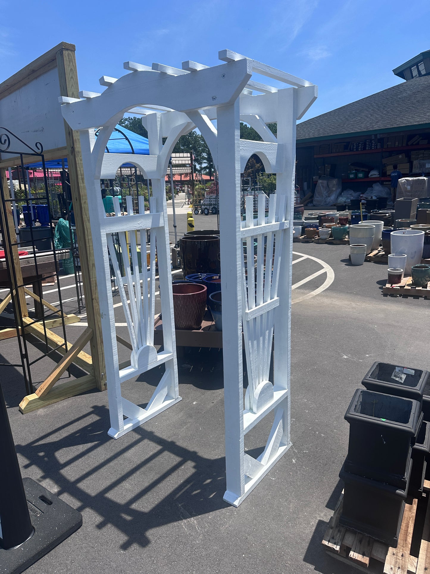 Sunburst Arbor