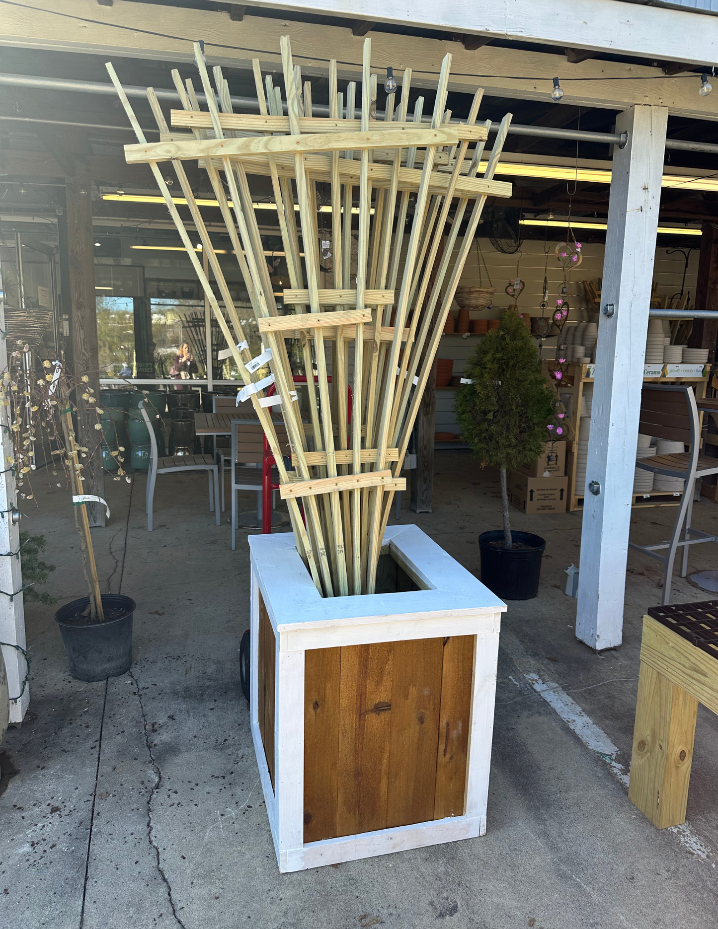 Garden Fan Trellis