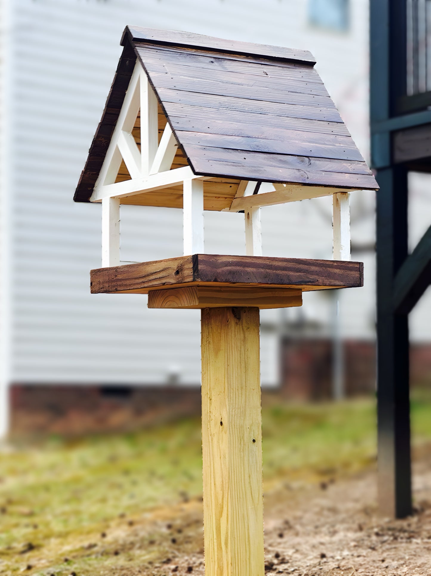 Alpine Deluxe Fly Thru Bird Feeder
