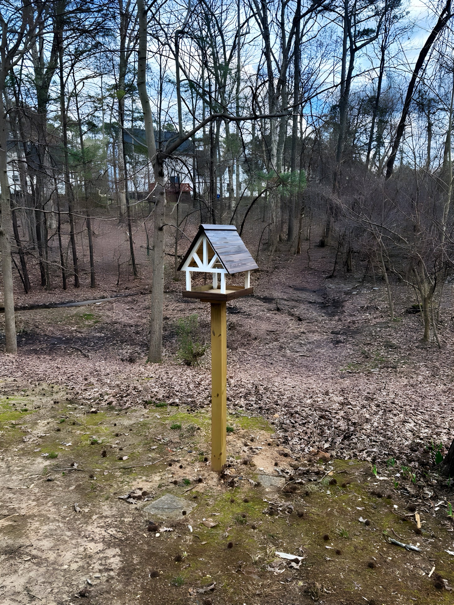 Alpine Deluxe Fly Thru Bird Feeder