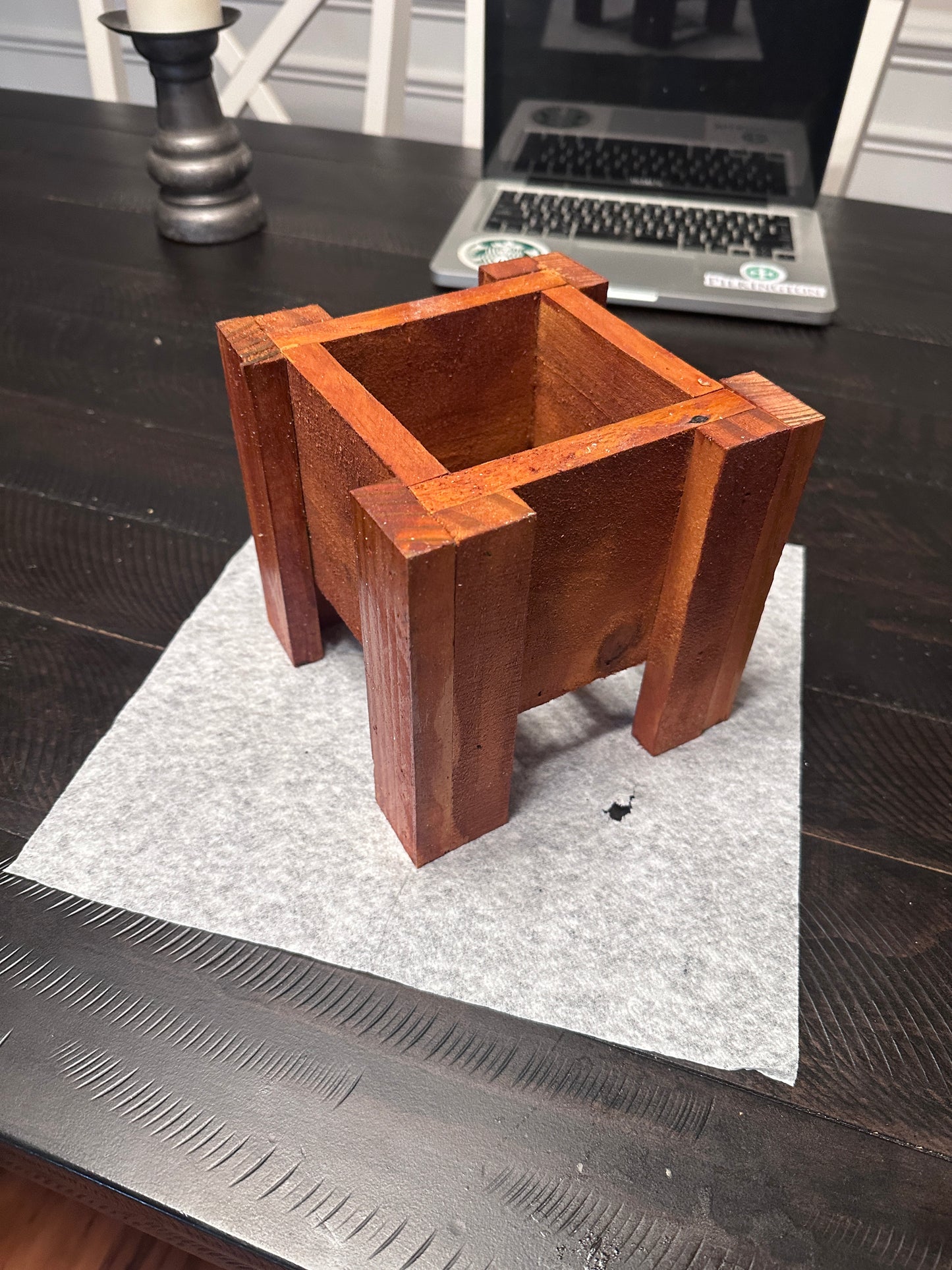 Mini Raised Planter Cube - "The Bully"