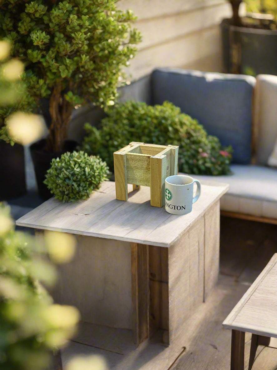 Mini Raised Planter Cube - "The Bully"