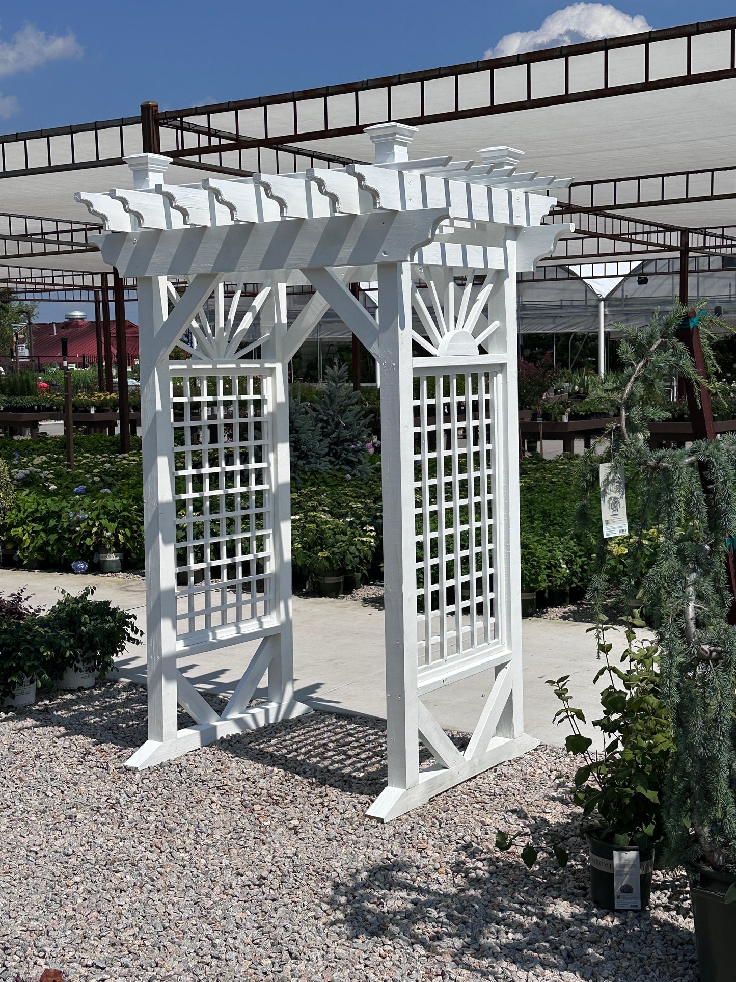 Grand Sunburst Arbor