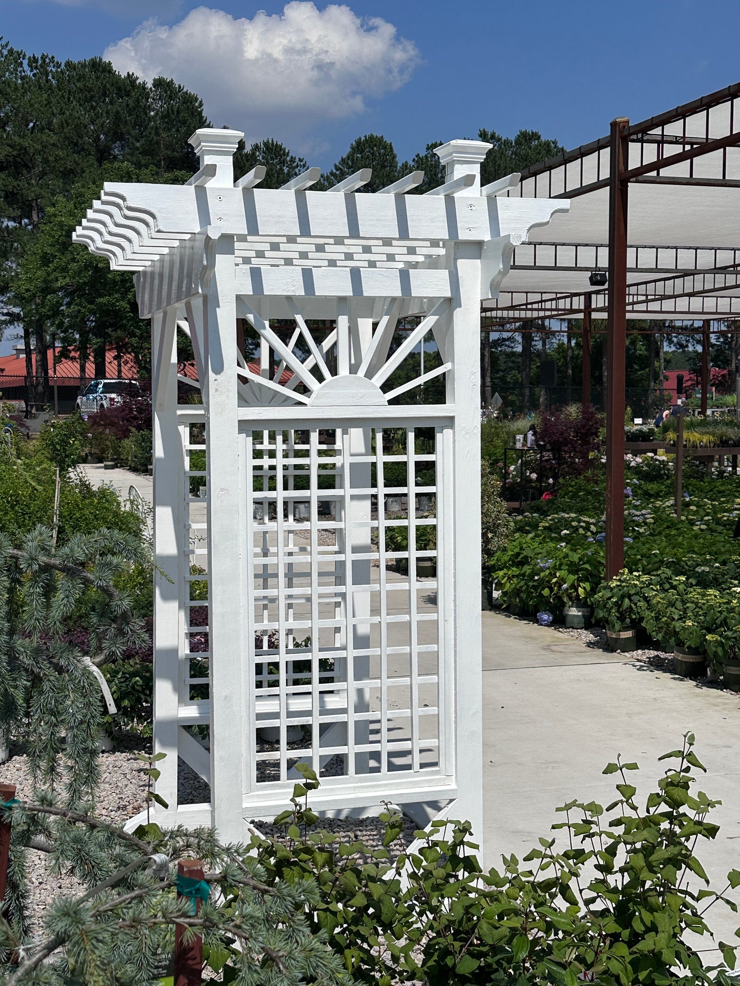 Grand Sunburst Arbor