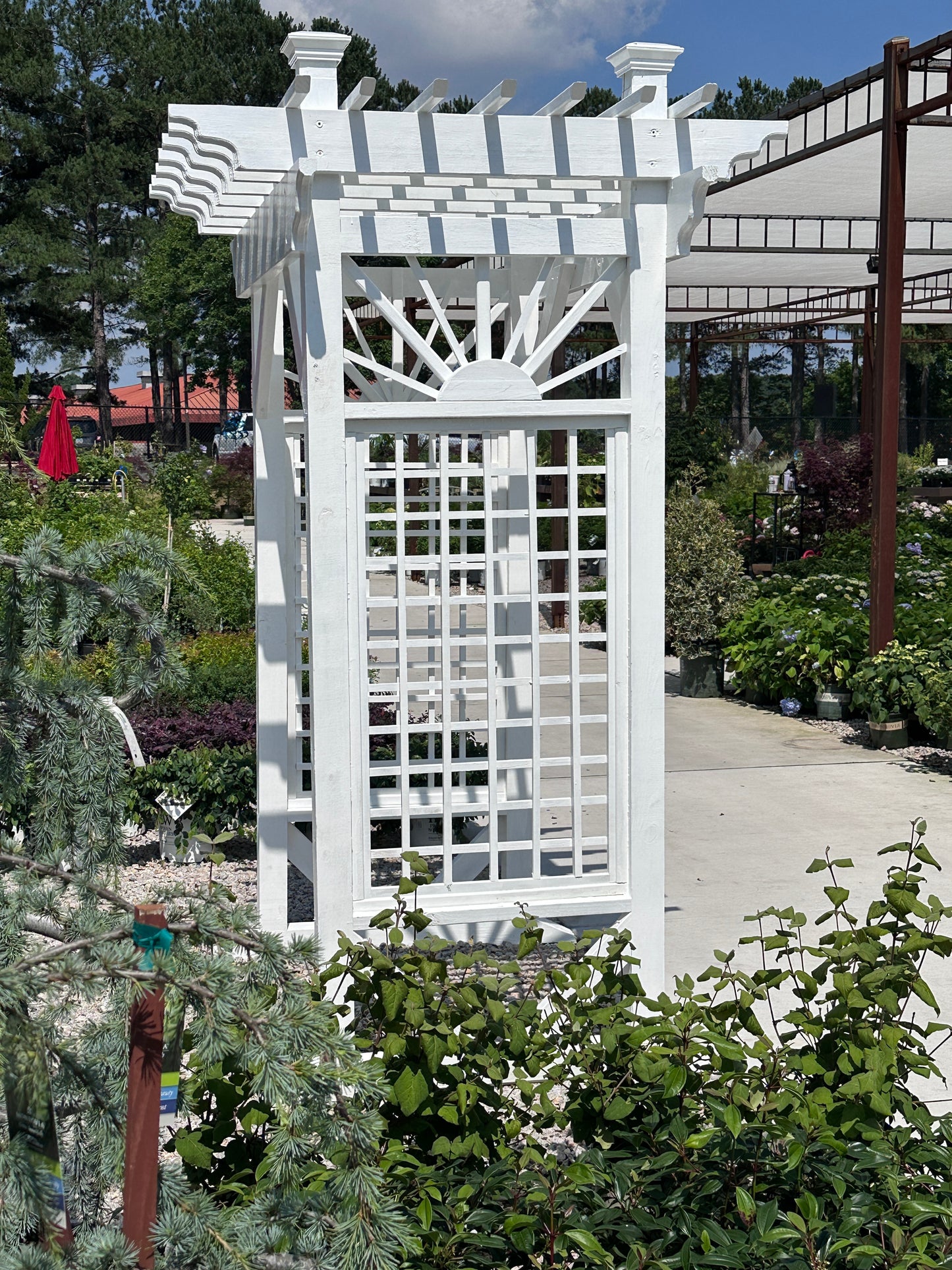 Grand Sunburst Arbor