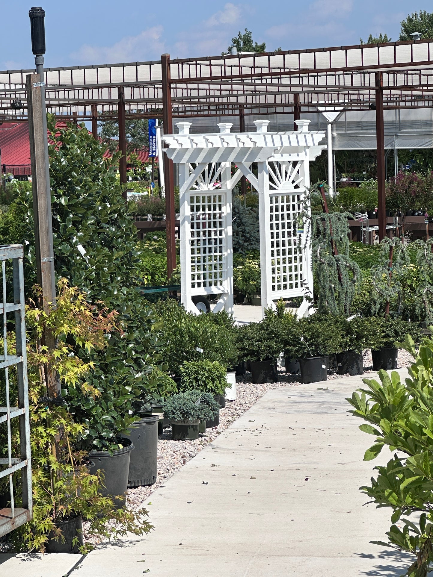 Grand Sunburst Arbor
