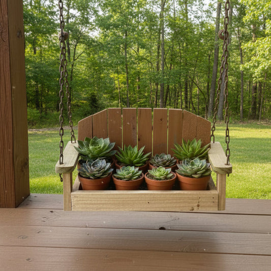 Wooden swing with potted succulents in a snowy outdoor setting