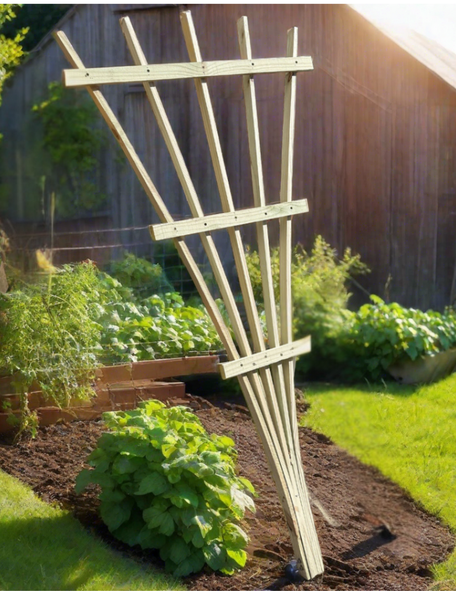 Creating an Enchanting Garden: Choosing the Right Trellises to Complement Your Outdoor Haven
