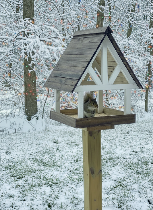 Alpine Deluxe Fly Thru Bird Feeder