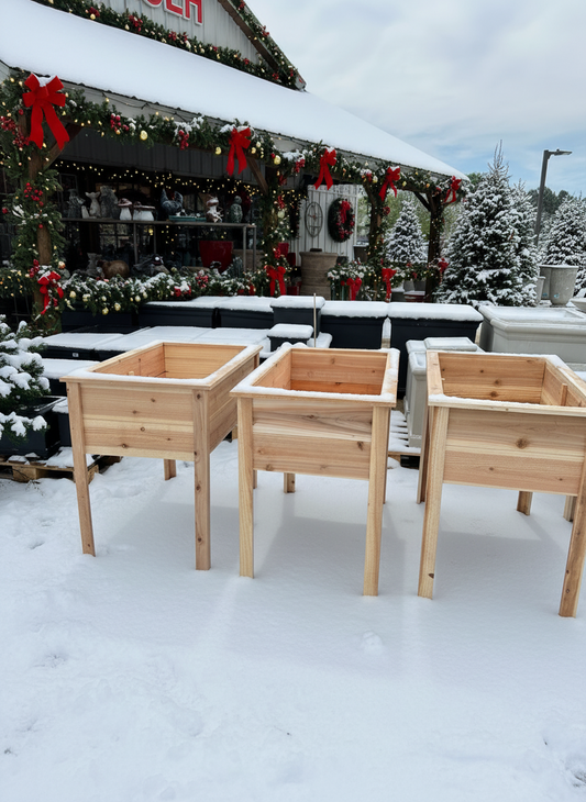 Premium Cedar Raised Planter Box - No Shelf