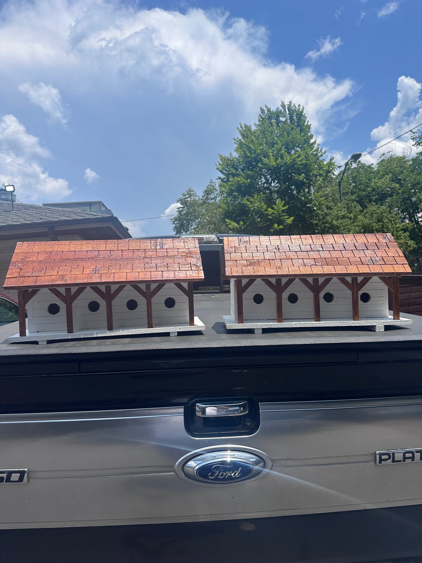 Purple Martin Bird House