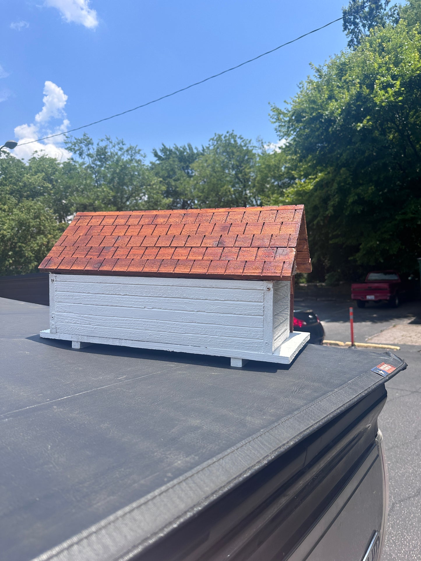 Purple Martin Bird House