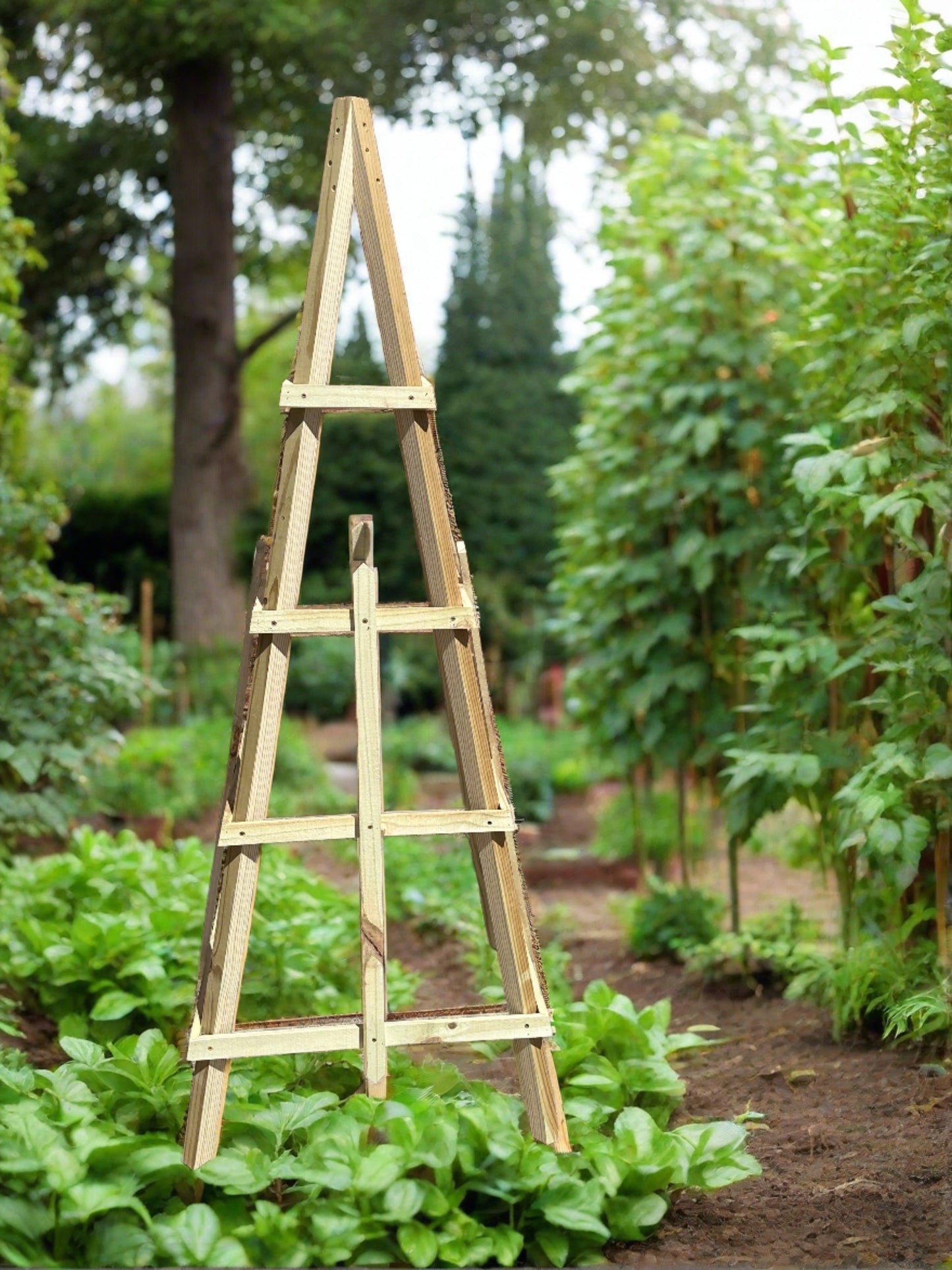 Obelisk Garden Trellis - Pilkington Woodworks