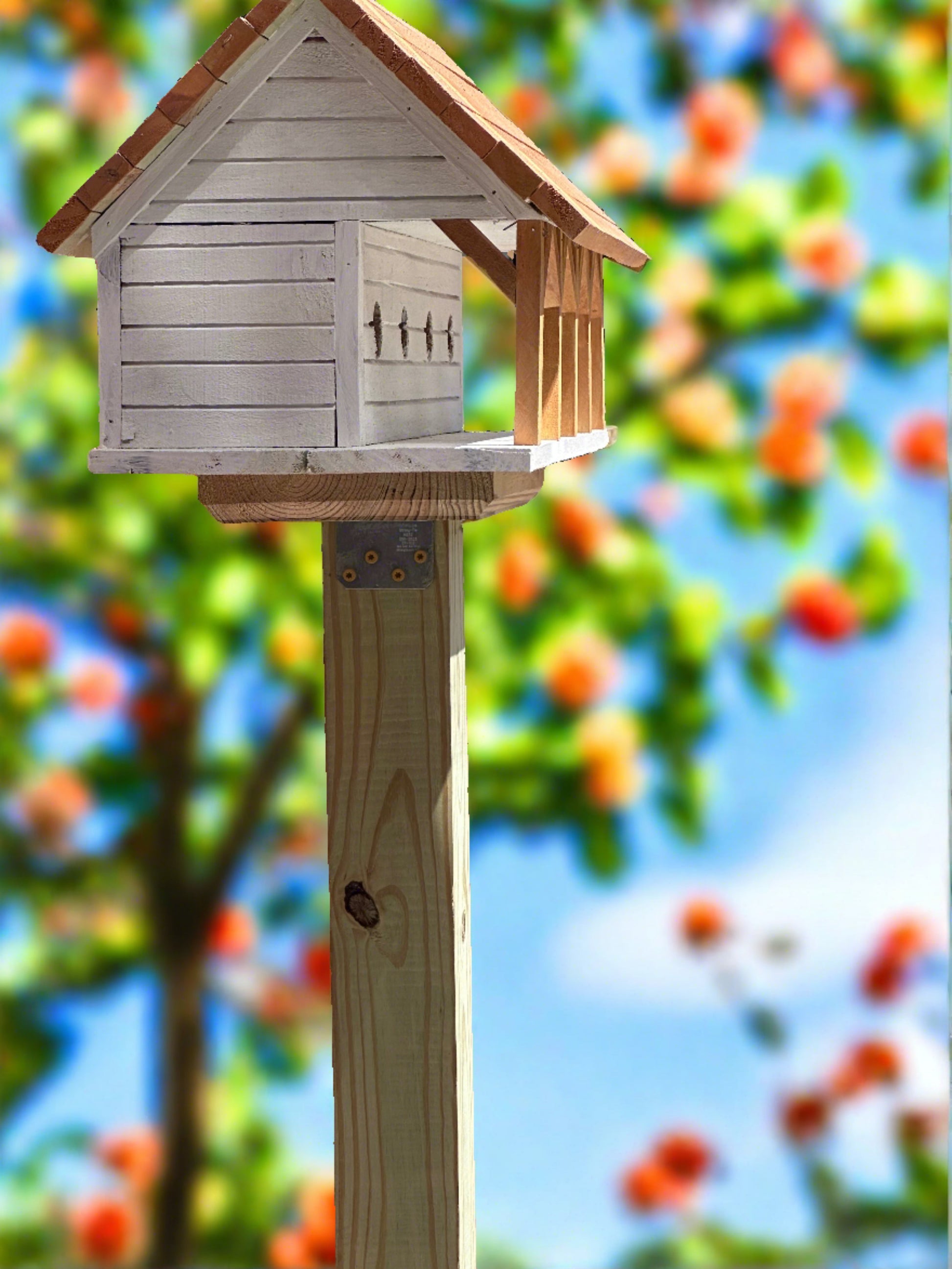 Purple Martin birdhouse with a shingled roof, mounted on a post in a sunny garden, surrounded by trees.