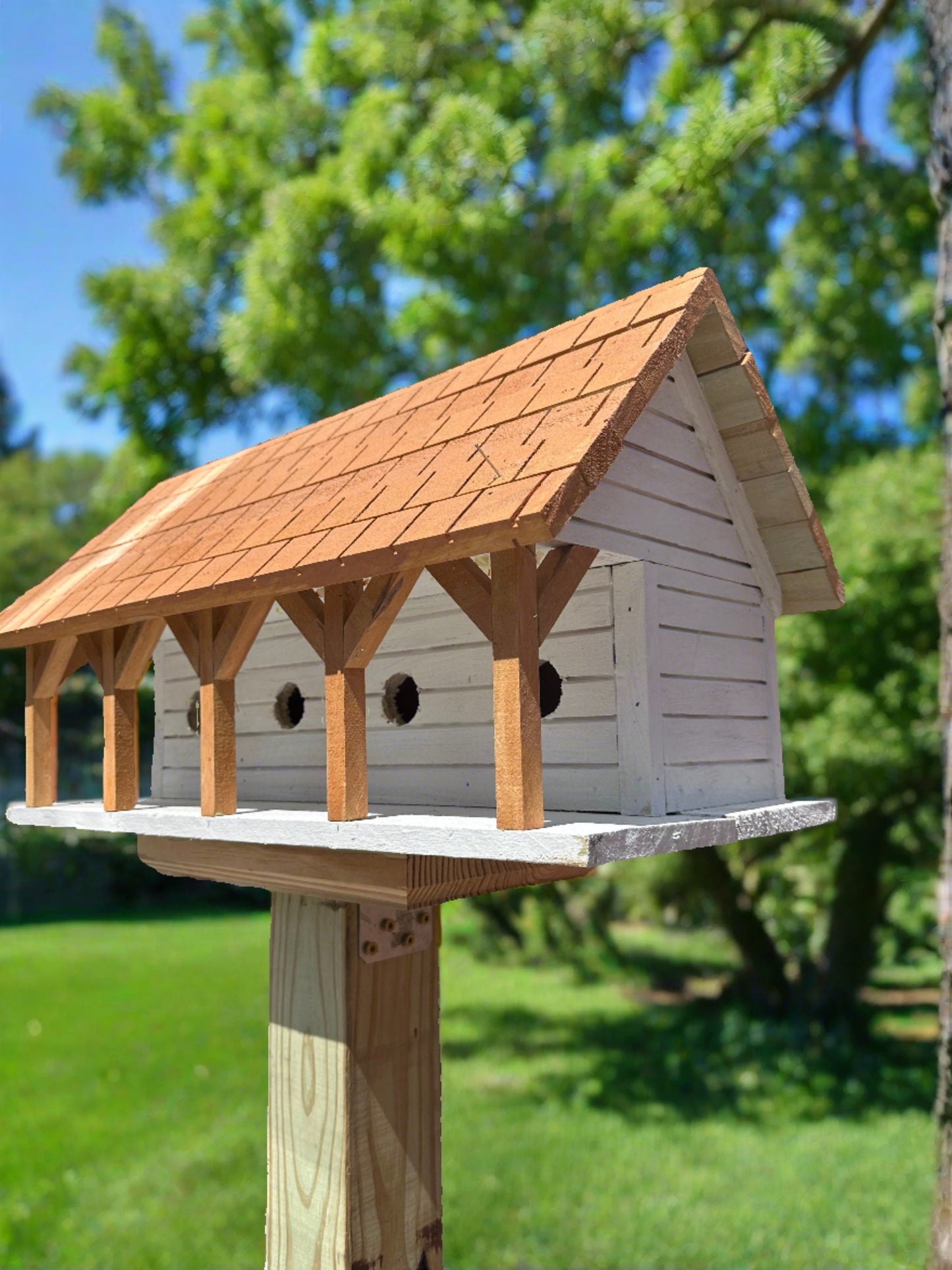 Purple Martin birdhouse with a shingled roof, mounted on a post in a sunny garden, surrounded by trees.