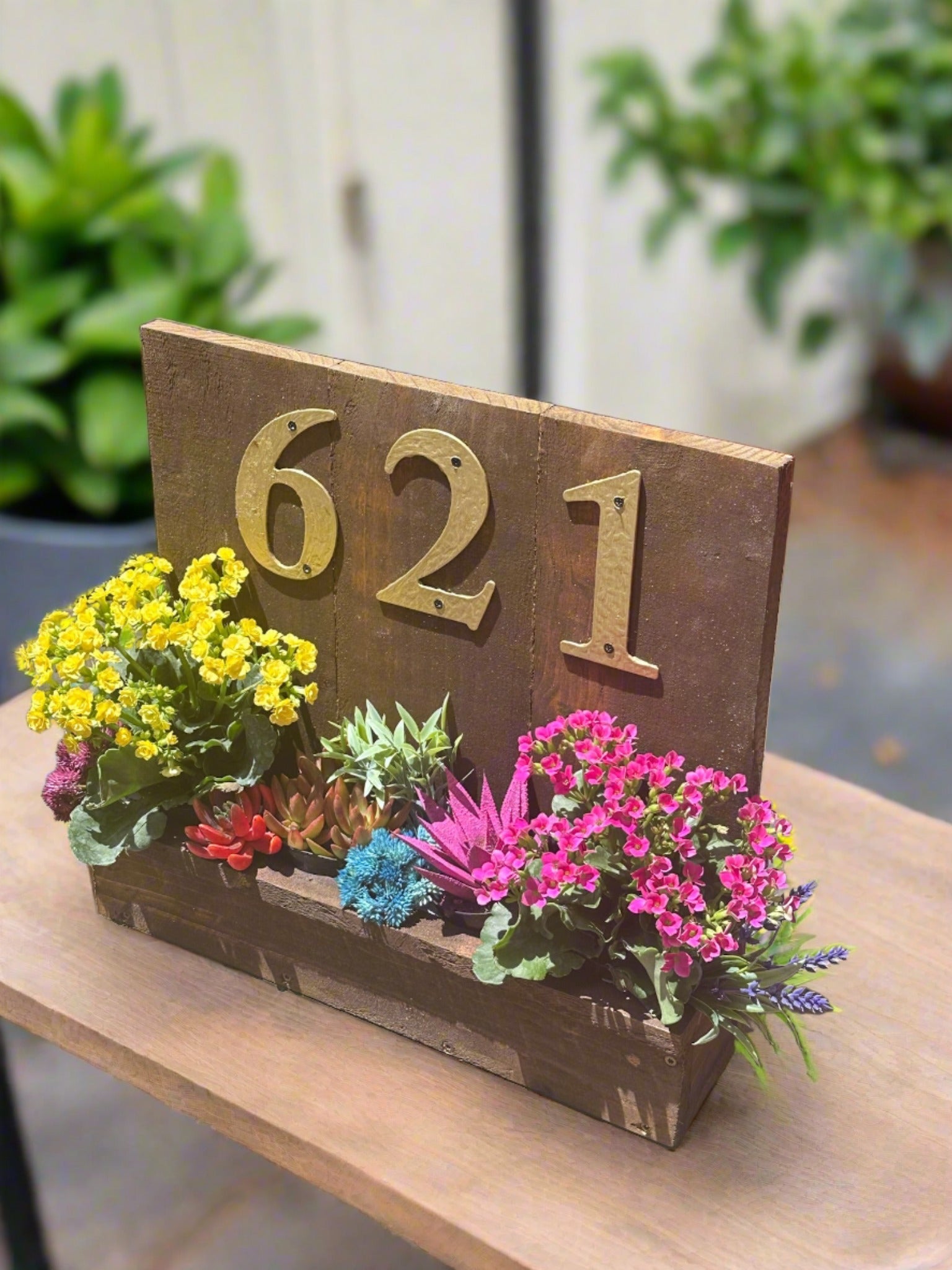 House number planter box displaying "621" in golden numbers, containing vibrant flowers and succulents, mounted on the siding of a house near the front door in bright sunlight.