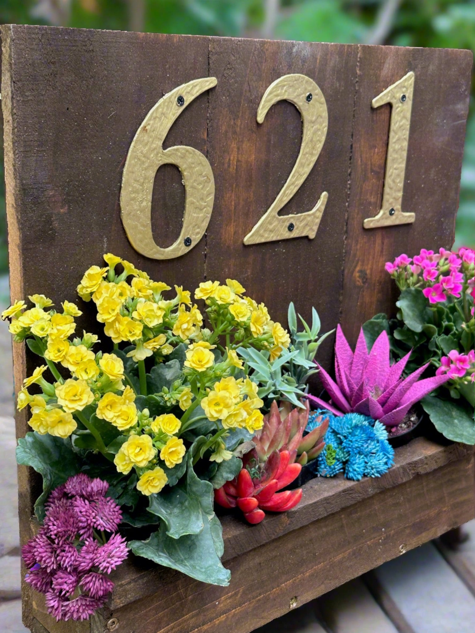 House number planter box displaying "621" in golden numbers, containing vibrant flowers and succulents, mounted on the siding of a house near the front door in bright sunlight.