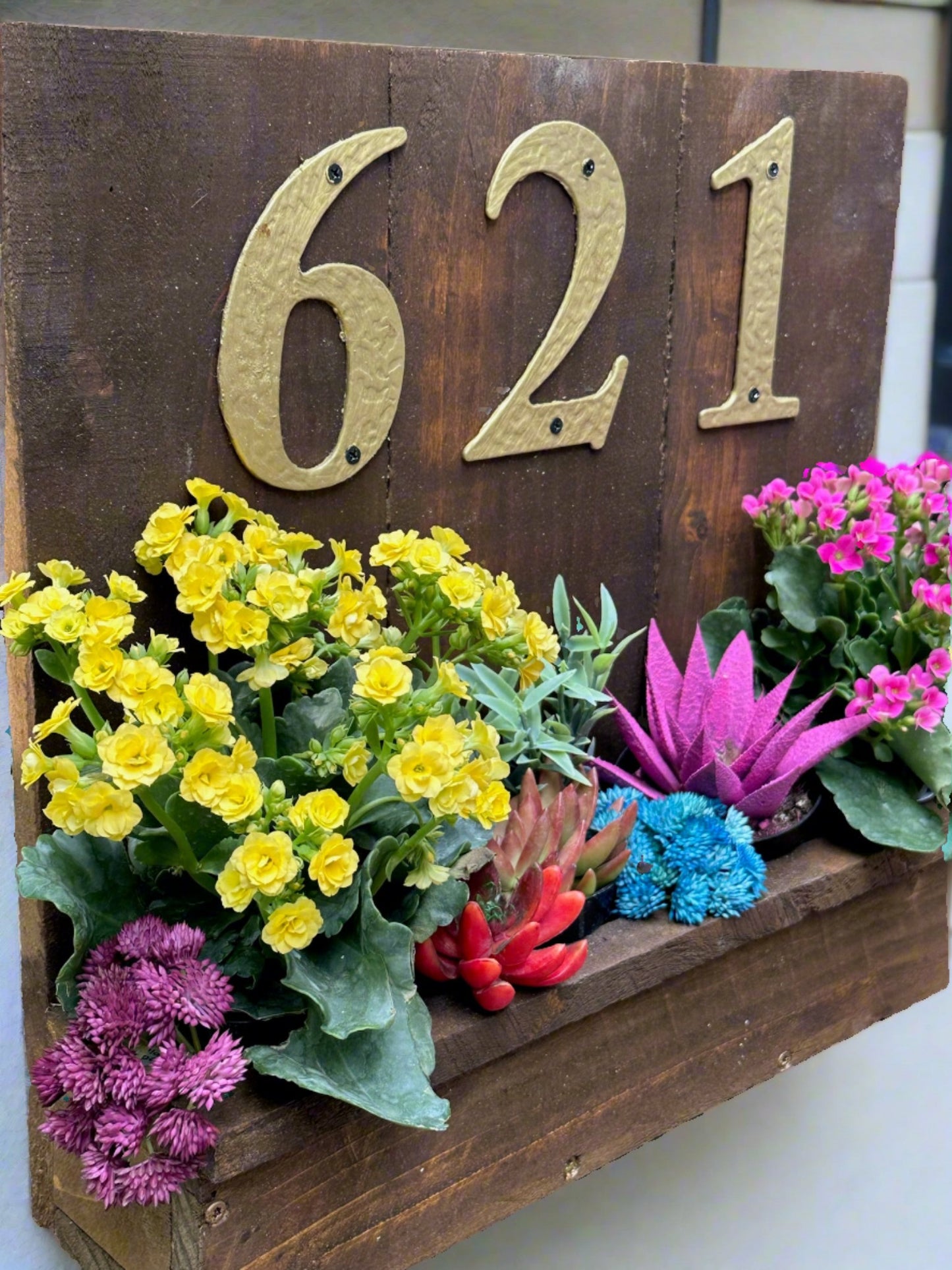 House number planter box displaying "621" in golden numbers, containing vibrant flowers and succulents, mounted on the siding of a house near the front door in bright sunlight.