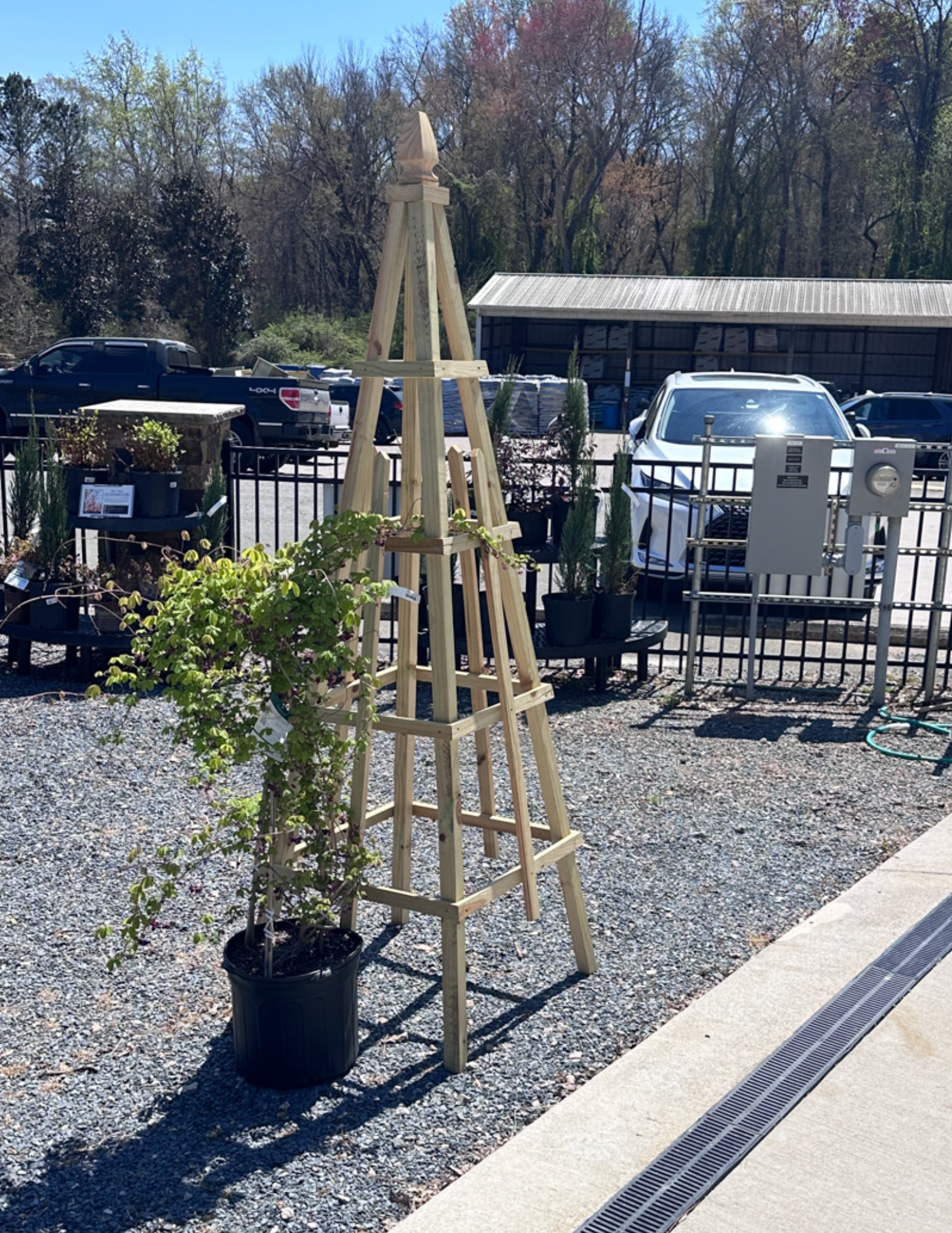 wooden obelisk trellis for sale Obelisk Garden Trellis