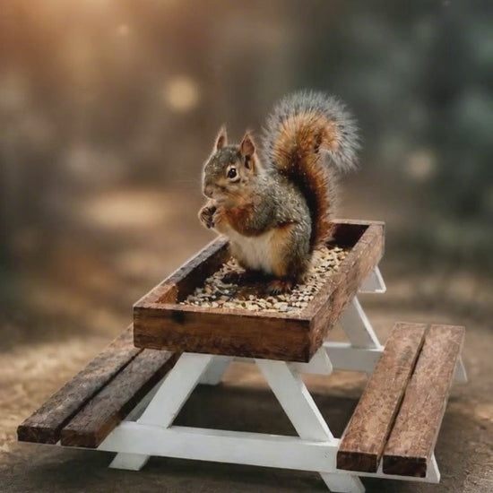 Squirrel eating wildlife feed in a picnic-table style birdfeeder in a woodland scene.